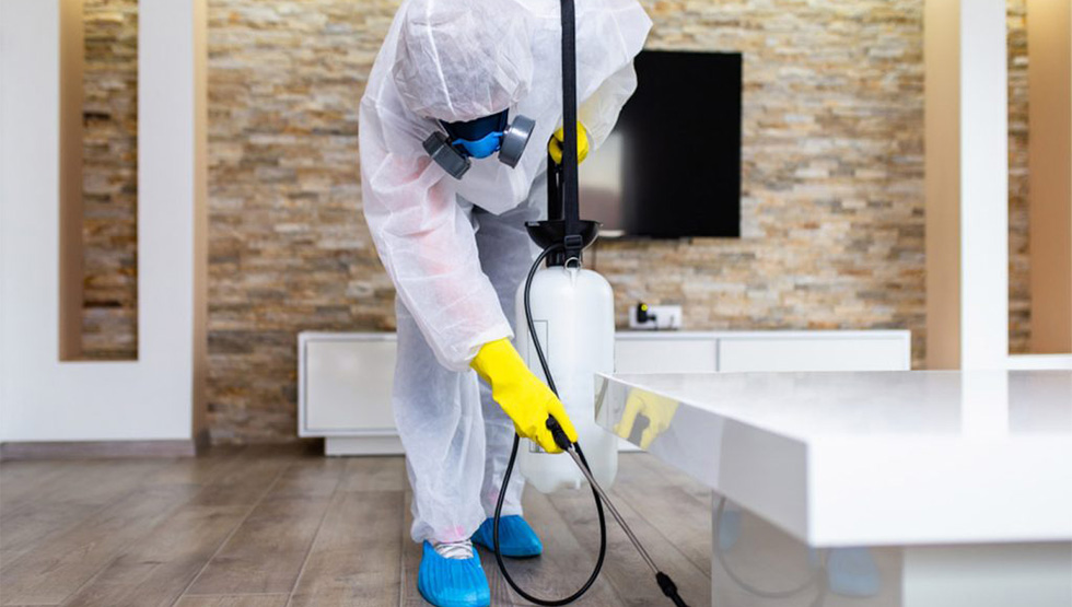 شركة رش حشرات في الطائف , رش حشرات في الطائف , افضل شركة رش حشرات في الطائف , ارخص شركة رش حشرات في الطائف , شركة رش حشرات في الطائف ,  مكافحة حشرات في الطائف , افضل شركة مكافحة حشرات في الطائف 